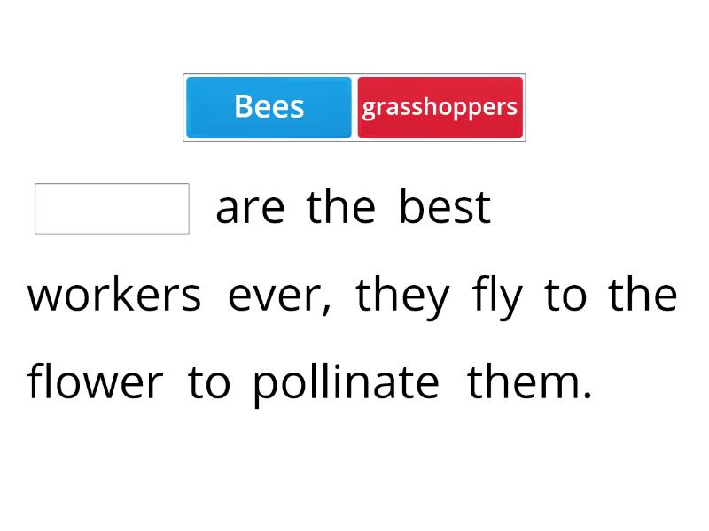 Reading - Insects - Complete the sentence