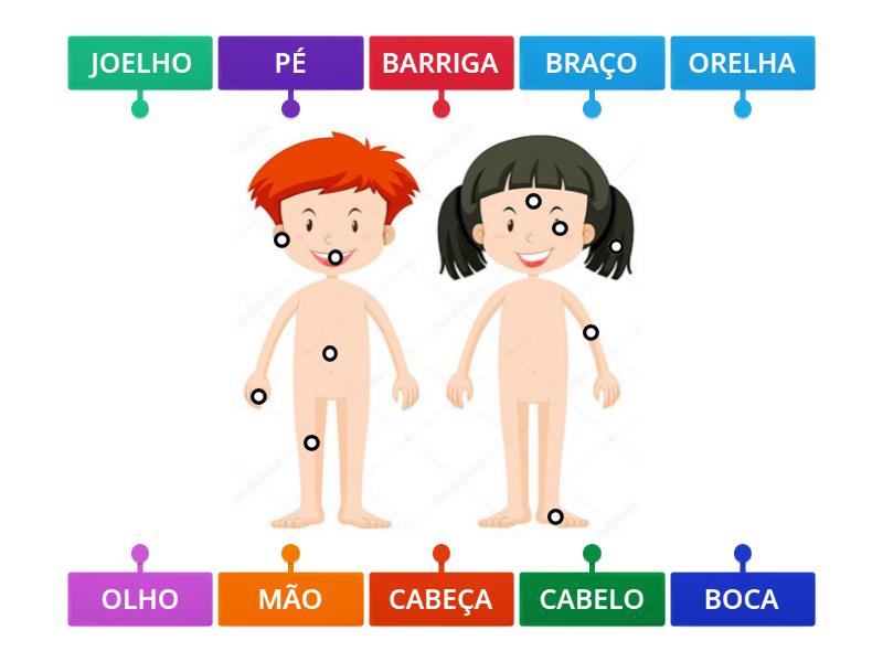 PARTES DO CORPO HUMANO - Labelled Diagram