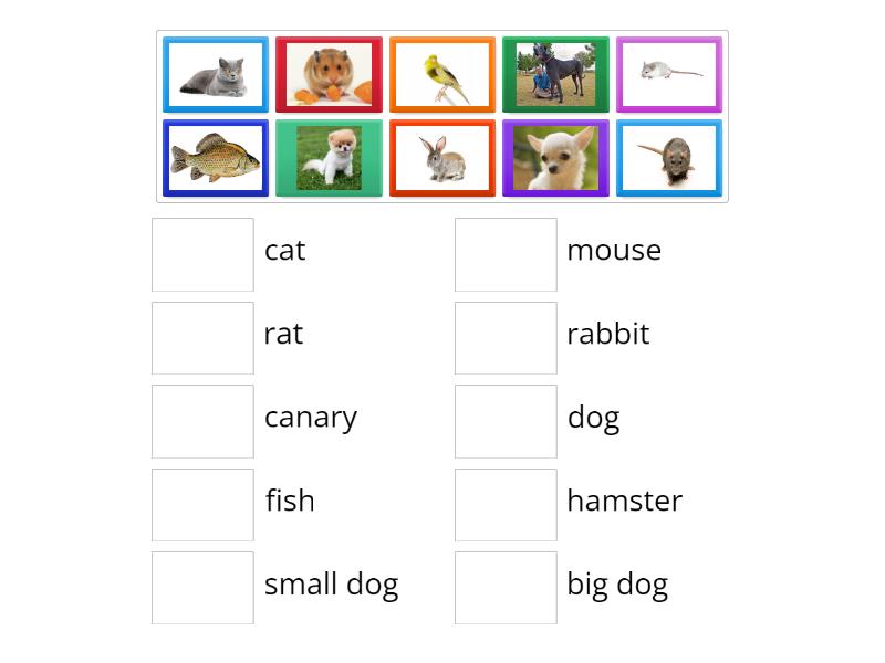 Hello Explorer 1 Unit 4 animals - Match up