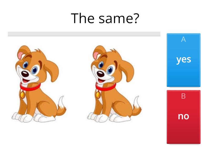 Same or NOT Same - Quiz