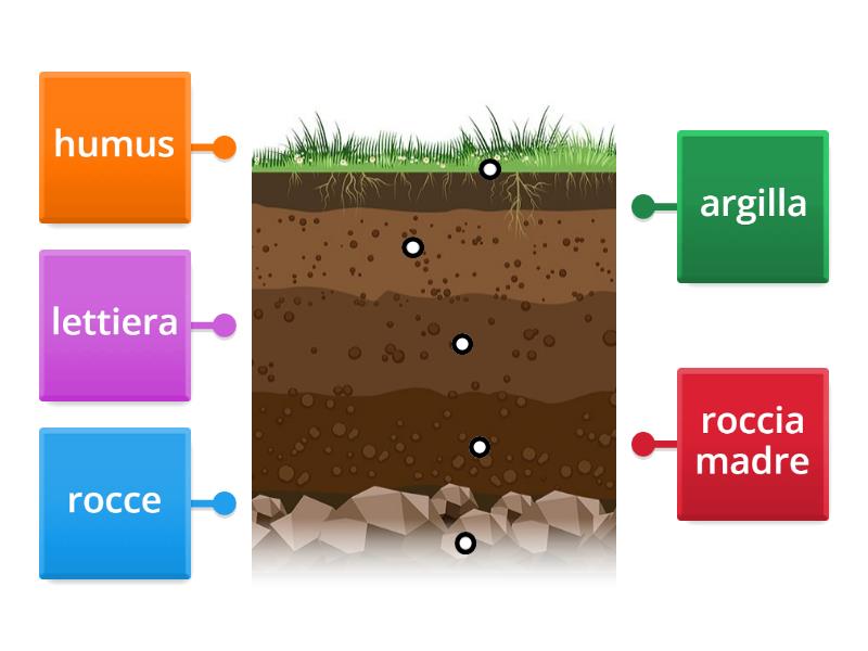 gli strati del sottosuolo - Labelled diagram