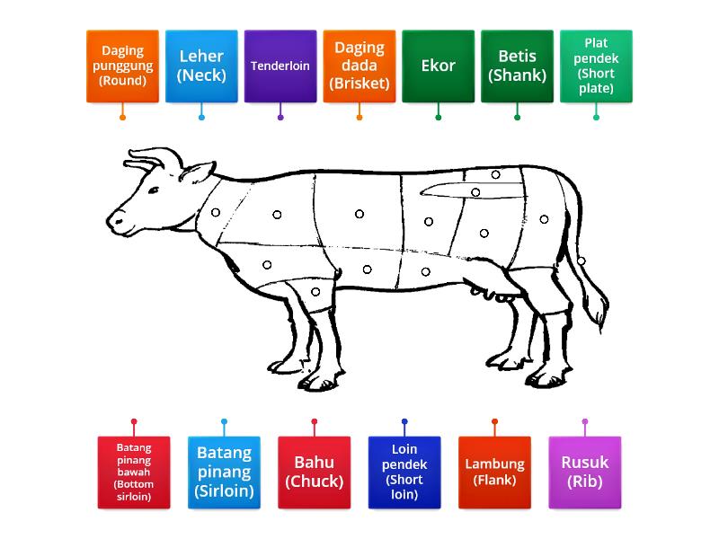 Bahagian Potongan Utama Lembu Labelled Diagram