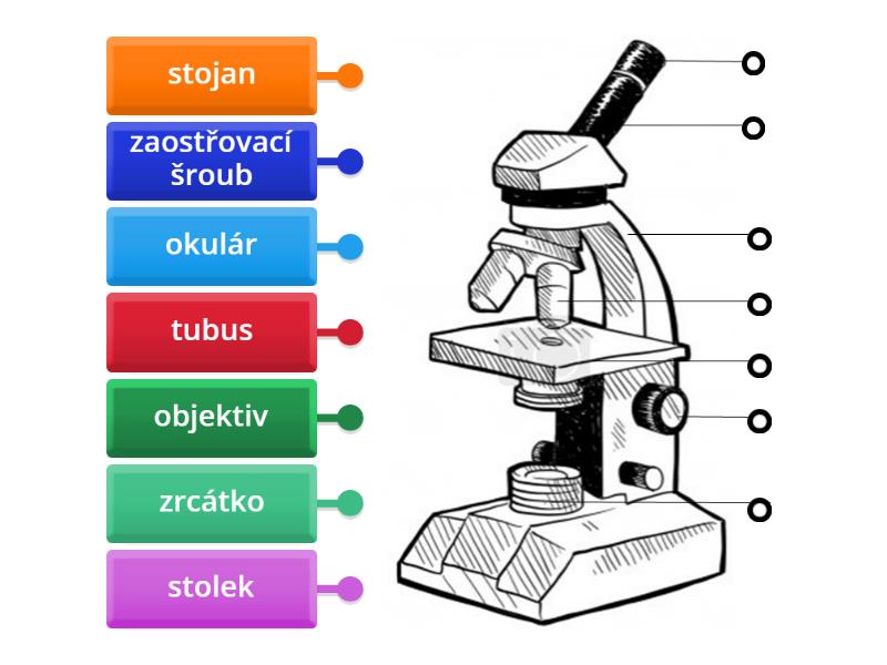 Popis mikroskopu - Diagrama con etiquetas