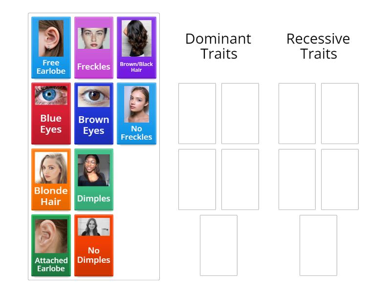 Sorting Dominant or Recessive Traits - Group sort