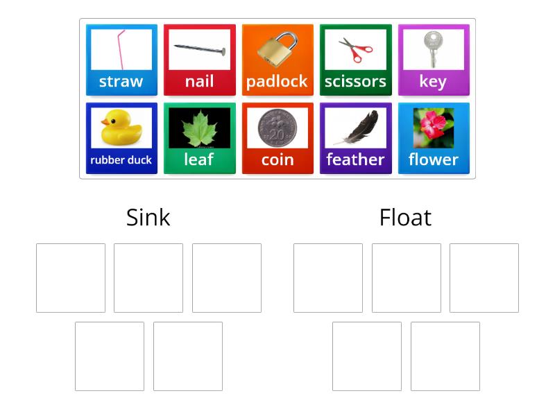 questions of Density (Sink or Float in Water) - Group sort