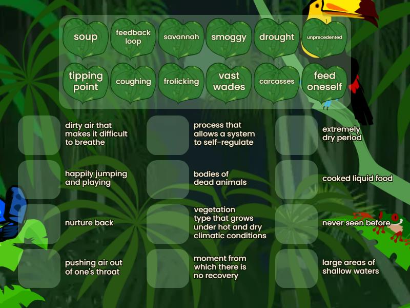 POSSIBLE DEFINITIONS visual data 2
