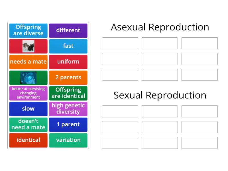 Asexual Vs Sexual Reproduction Group Sort 5524