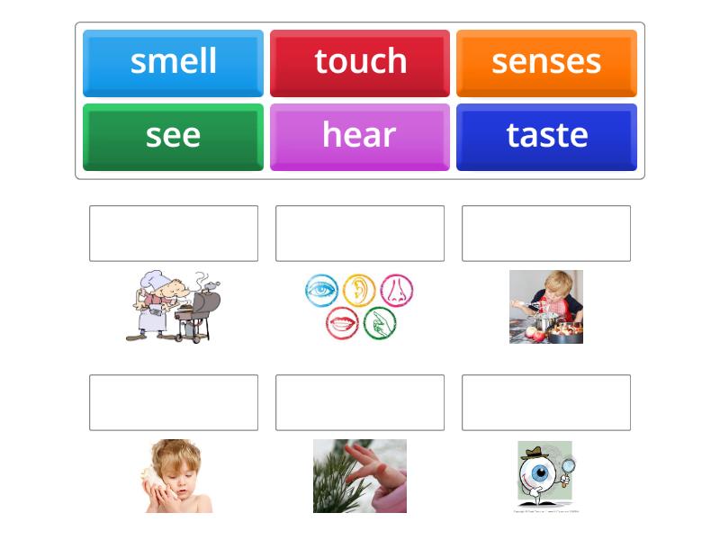Power Up 1 Unit 2 - Senses - Une las parejas