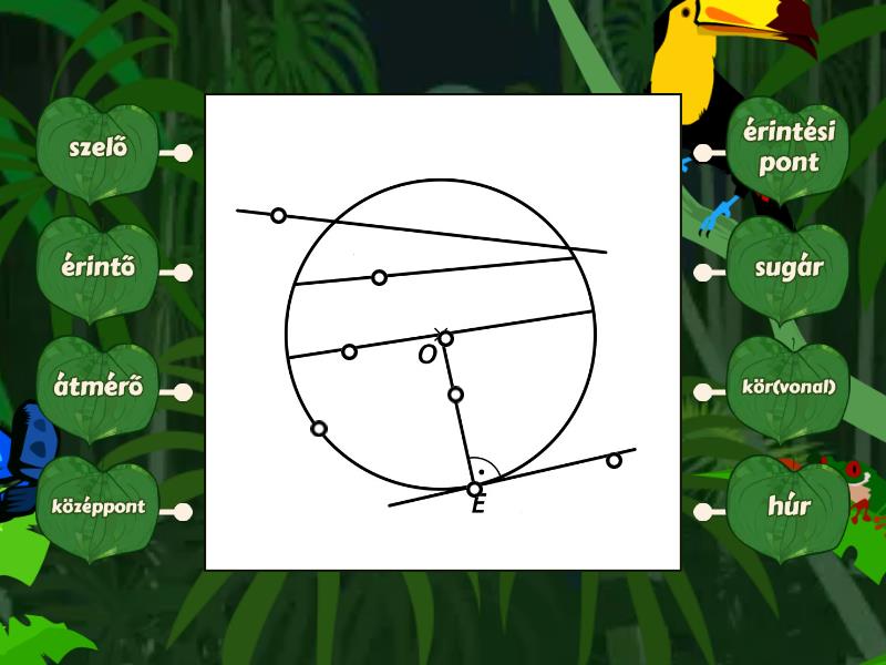 Kör és részei - Diagram