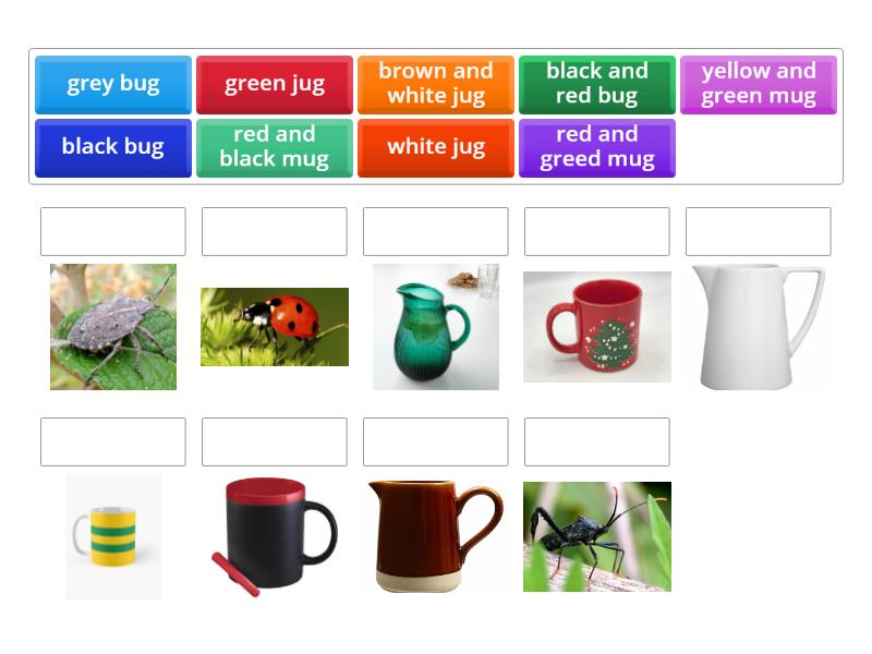 mug bug jug colours - Match up