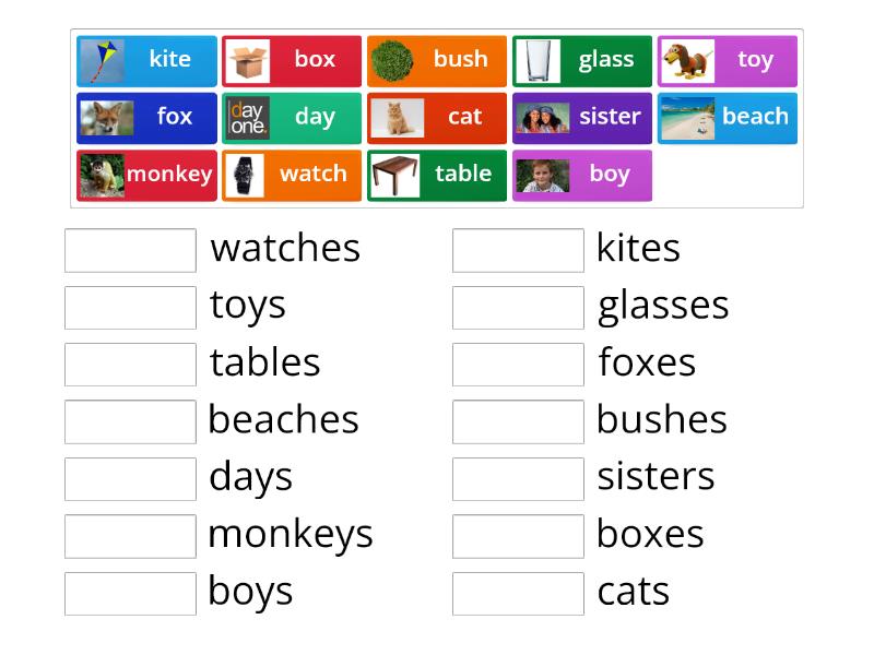 Singular and Plural - Match up