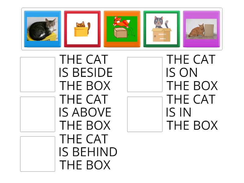 Match The Appropriate Match Match Up