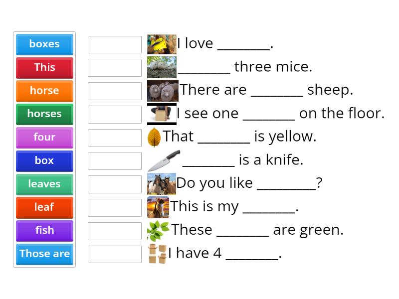 homework singular or plural