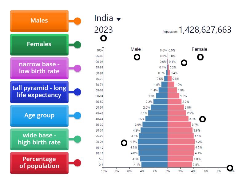 Population Pyramid India Labelled Diagram 1812