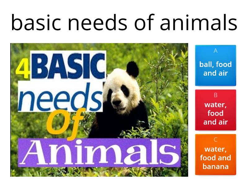 Basic needs of animals and humans - Quiz