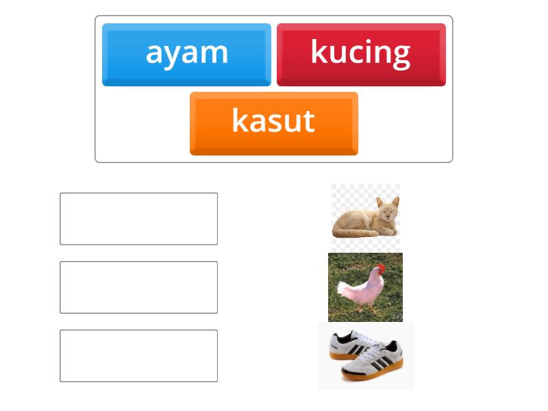 Padankan perkataan berdasarkan gambar - Match up