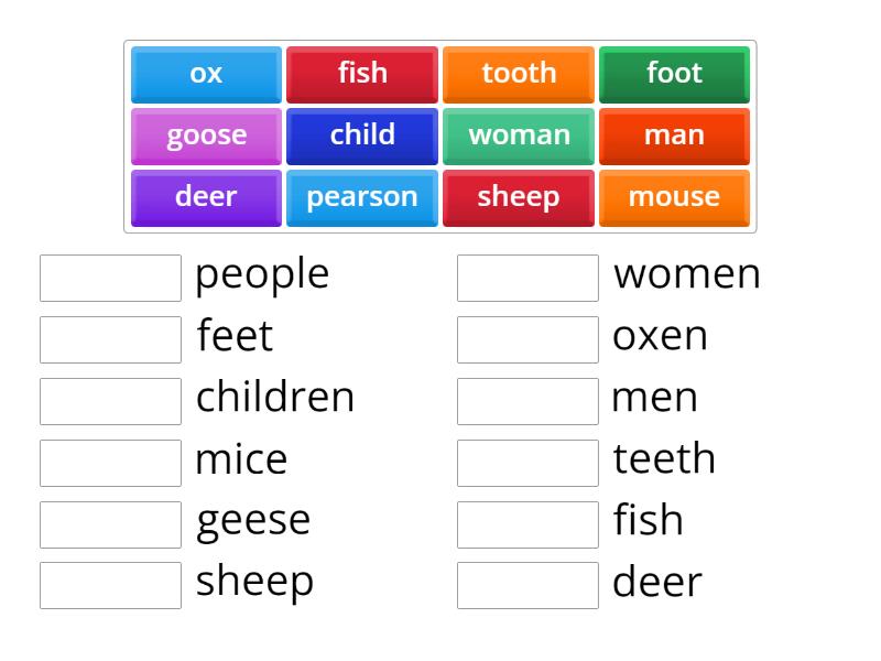 Irregular Plurals 2 - Match up
