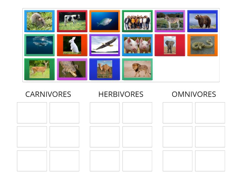 carnivores, herbivores, omnivores - Group sort