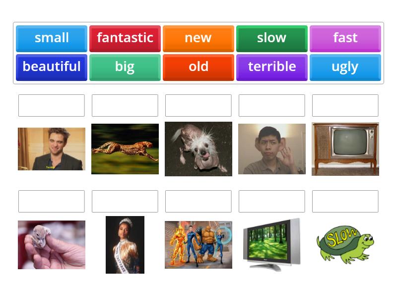 adjectives - Match up