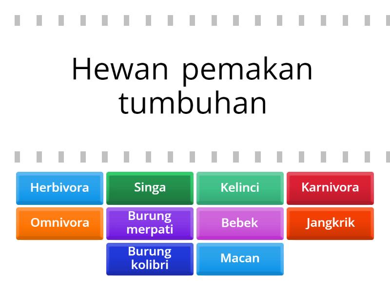 Pengelompokan Hewan Berdasarkan Jenis Makanannya - Find the match