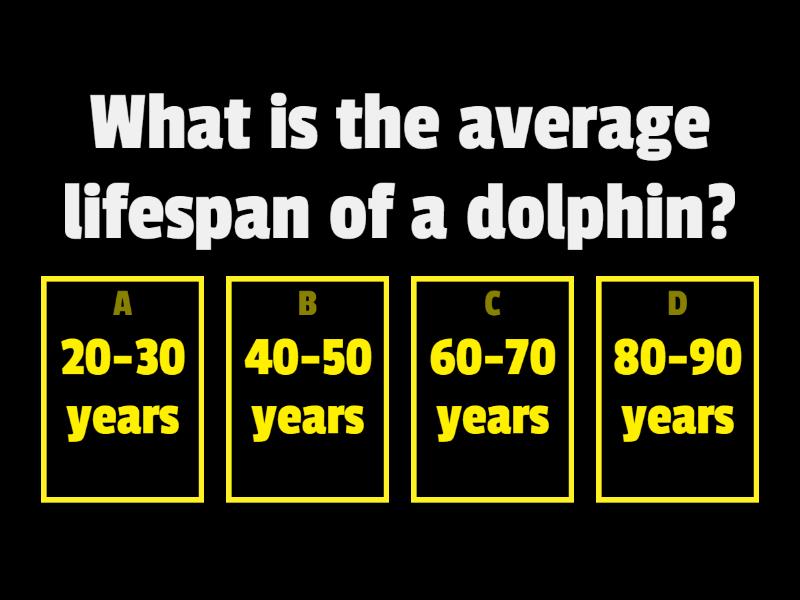 Dolphins Trivia - Quiz