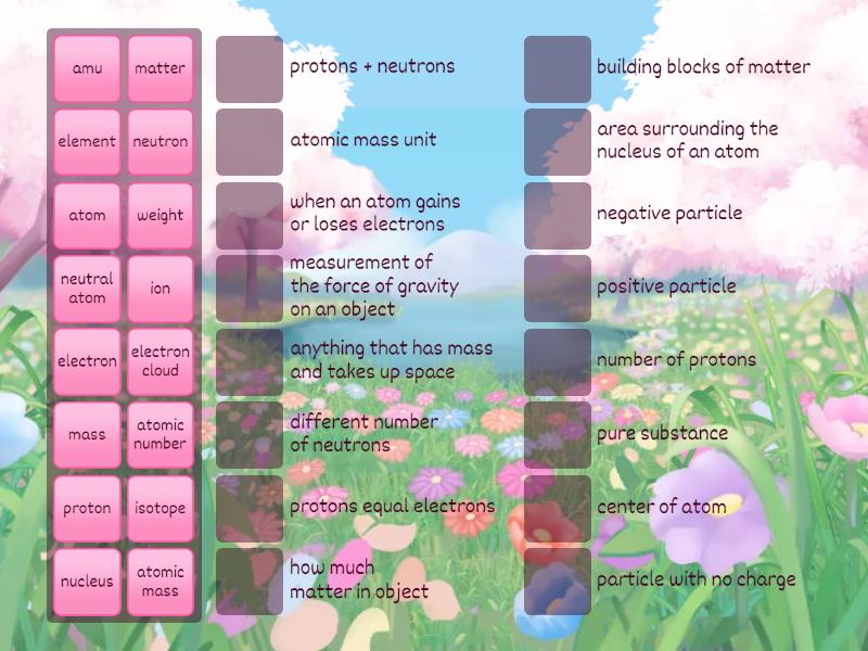 Atoms Vocabulary - Match up