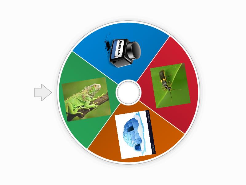 Grade 1/week 23 - Random wheel