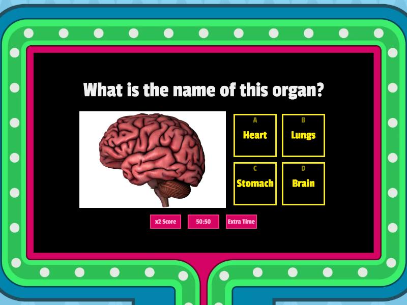  2nd grade human body gameshow quiz