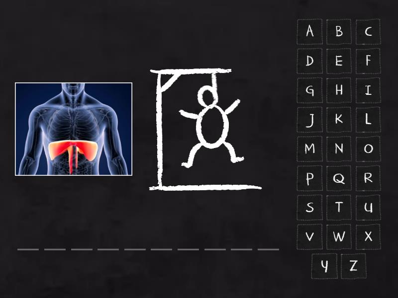 Respiratory System - Hangman
