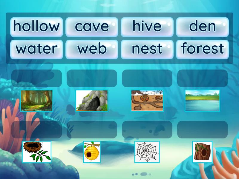 match-animals-with-their-habitats-match-up