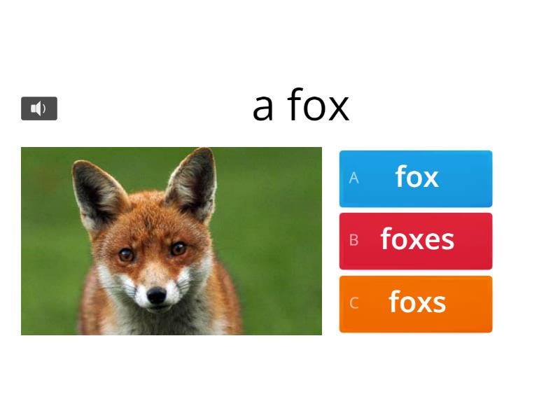 Plural forms regular - Quiz