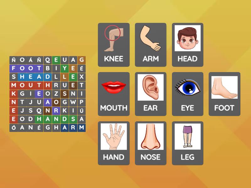Human body parts (Sopa de letras) - Wordsearch