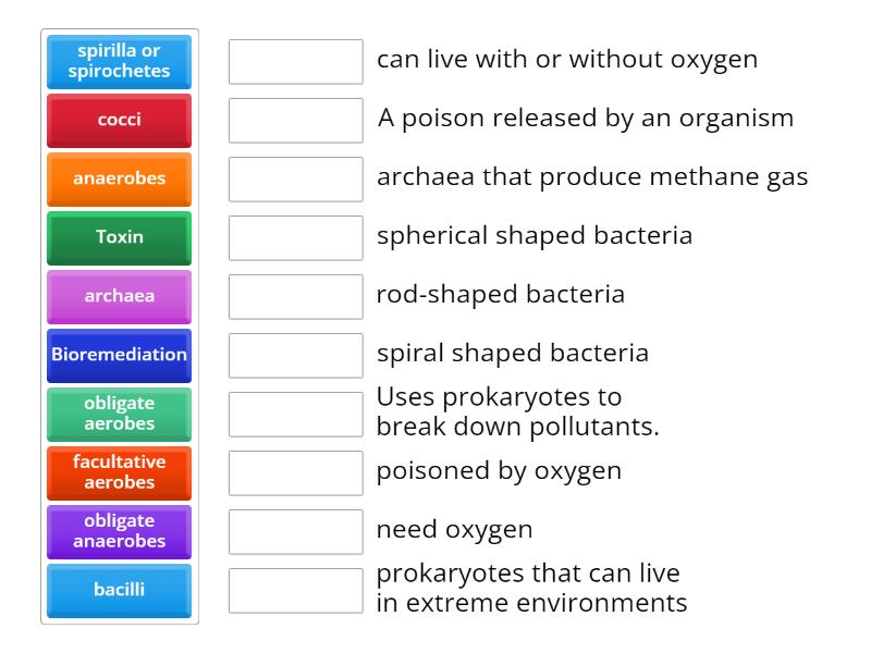 Biology - Match up