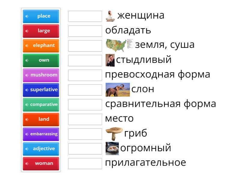 Marina 22.02 - Match up