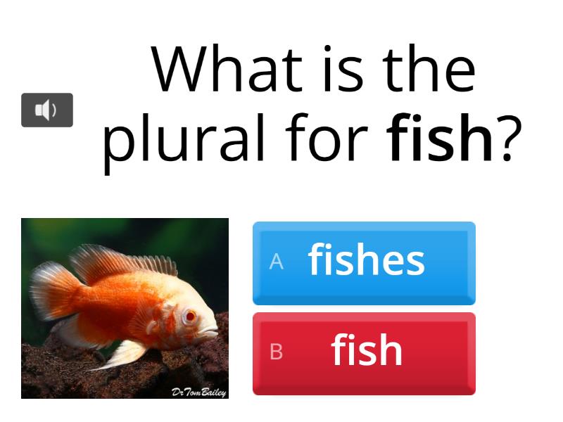 irregular-plural-nouns-quiz