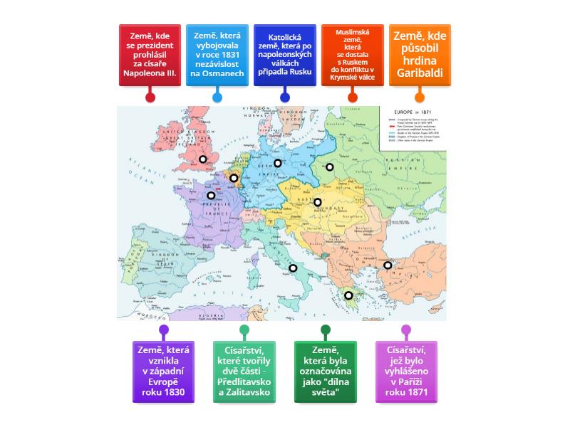 Best House Dogs For Seniors