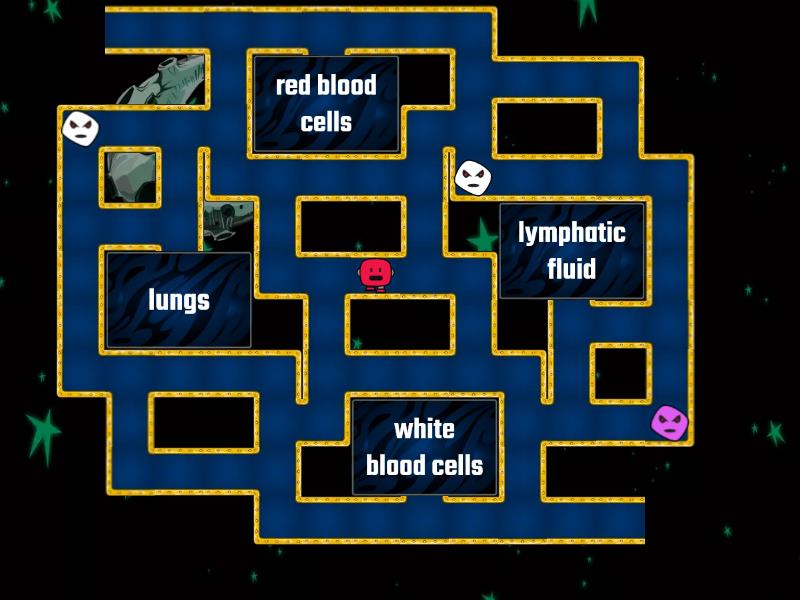 understanding-blood-type-pengejaran-dalam-labirin