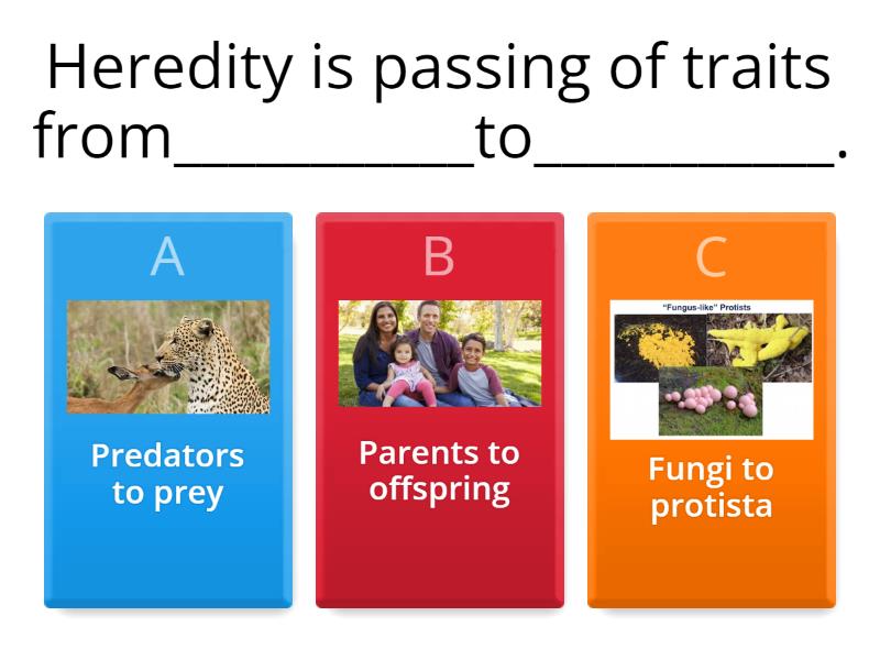 HEREDITY - Quiz