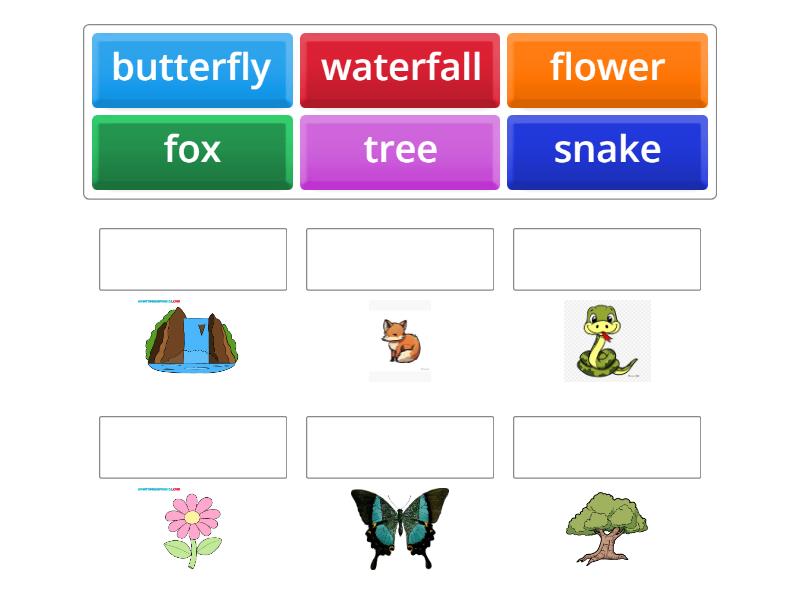 Match the things/animals that we can find in nature - Match up