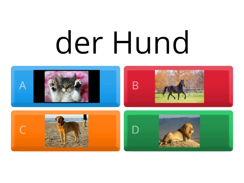 Tiere - Quiz