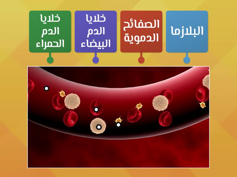 مكونات الدم مخطط المربعات