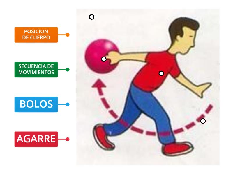 COORDINACION OCULO MANUAL - Labelled diagram