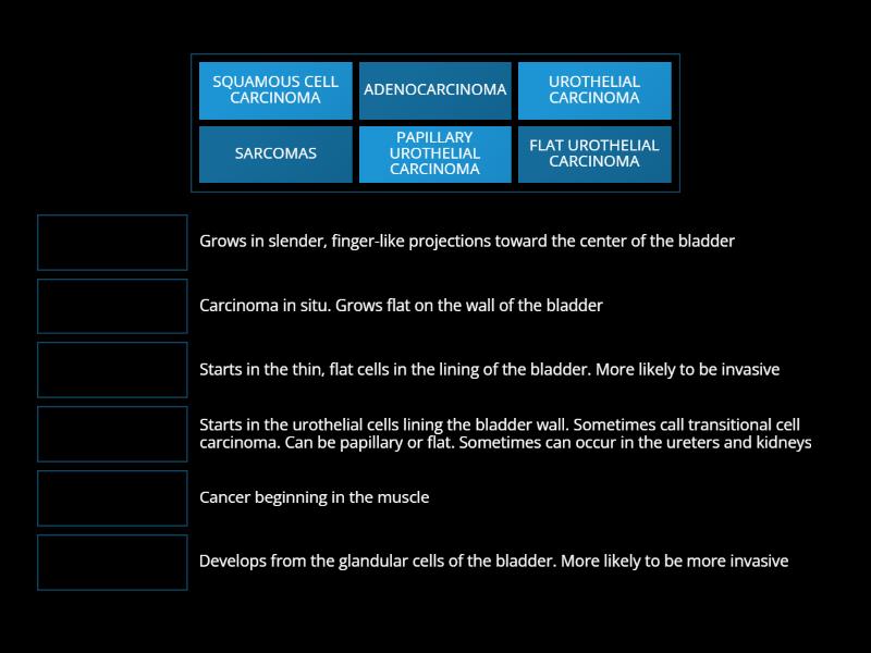 Types Of Bladder Cancer Match Up