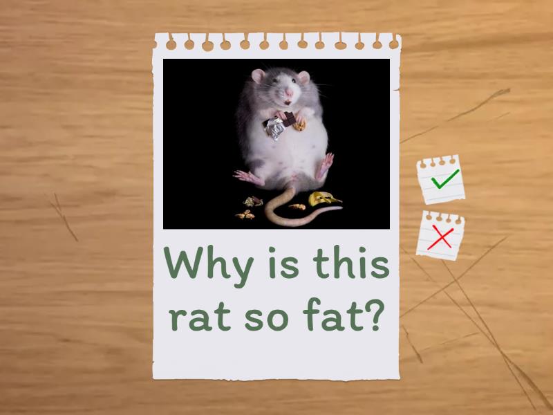 present perfect continuous.... why? - Flash cards