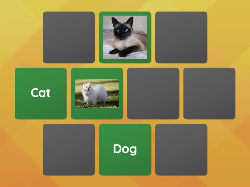 Guessing Pet - Matching pairs