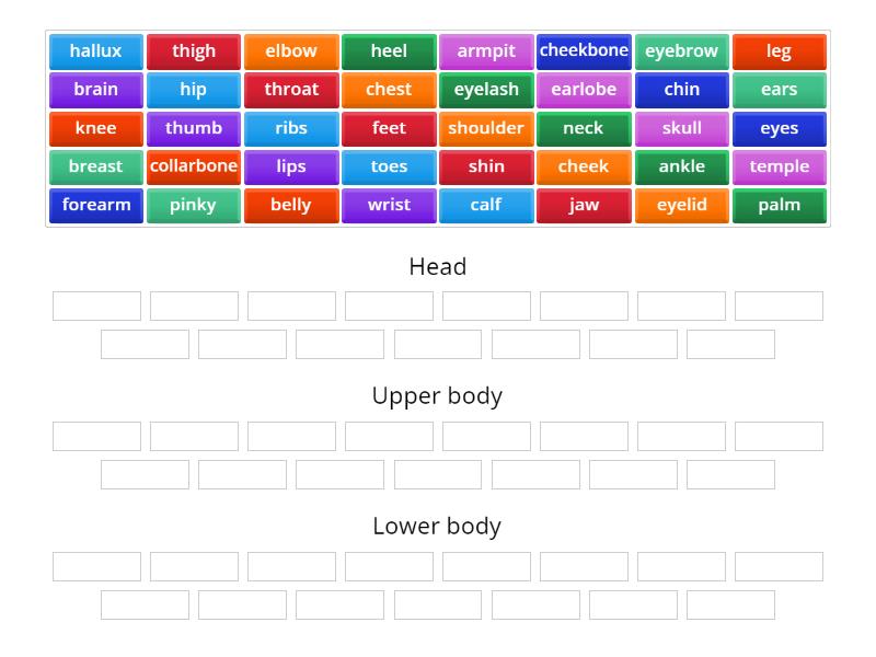 Body Parts - Group sort