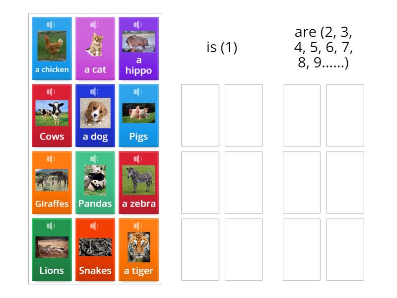 U5L3 Singular and Plural Nouns - Animals - Group sort