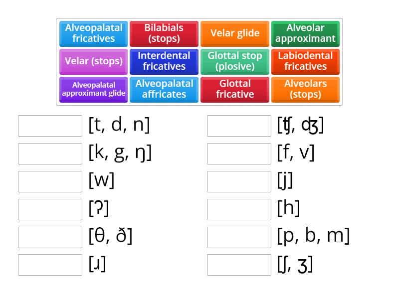 Places of Articulation - Consonants - Match up