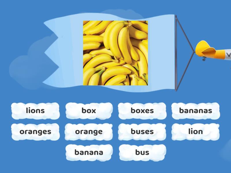 singular-or-plural-find-the-match