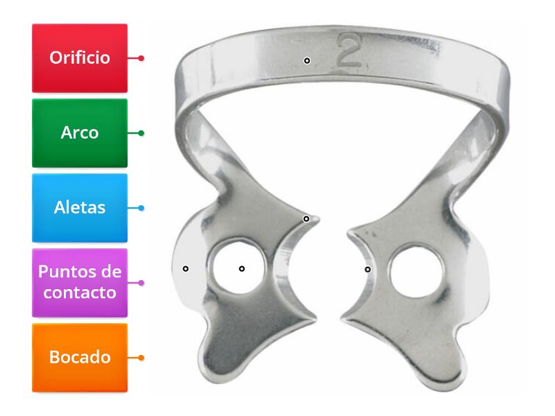 Las partes de un Clamp - Labelled diagram